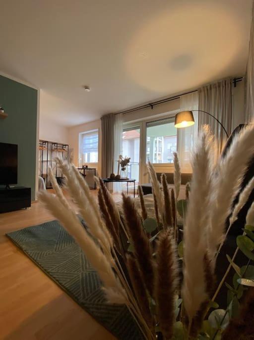 Design, Hochschule, Wildpark, Zentral, Waipu Tv, Netflix Apartment ฟอร์ซไฮม์ ภายนอก รูปภาพ