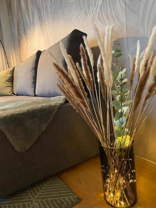 Design, Hochschule, Wildpark, Zentral, Waipu Tv, Netflix Apartment ฟอร์ซไฮม์ ภายนอก รูปภาพ