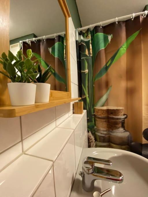 Design, Hochschule, Wildpark, Zentral, Waipu Tv, Netflix Apartment ฟอร์ซไฮม์ ภายนอก รูปภาพ